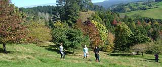 Disc Golf New Zealand